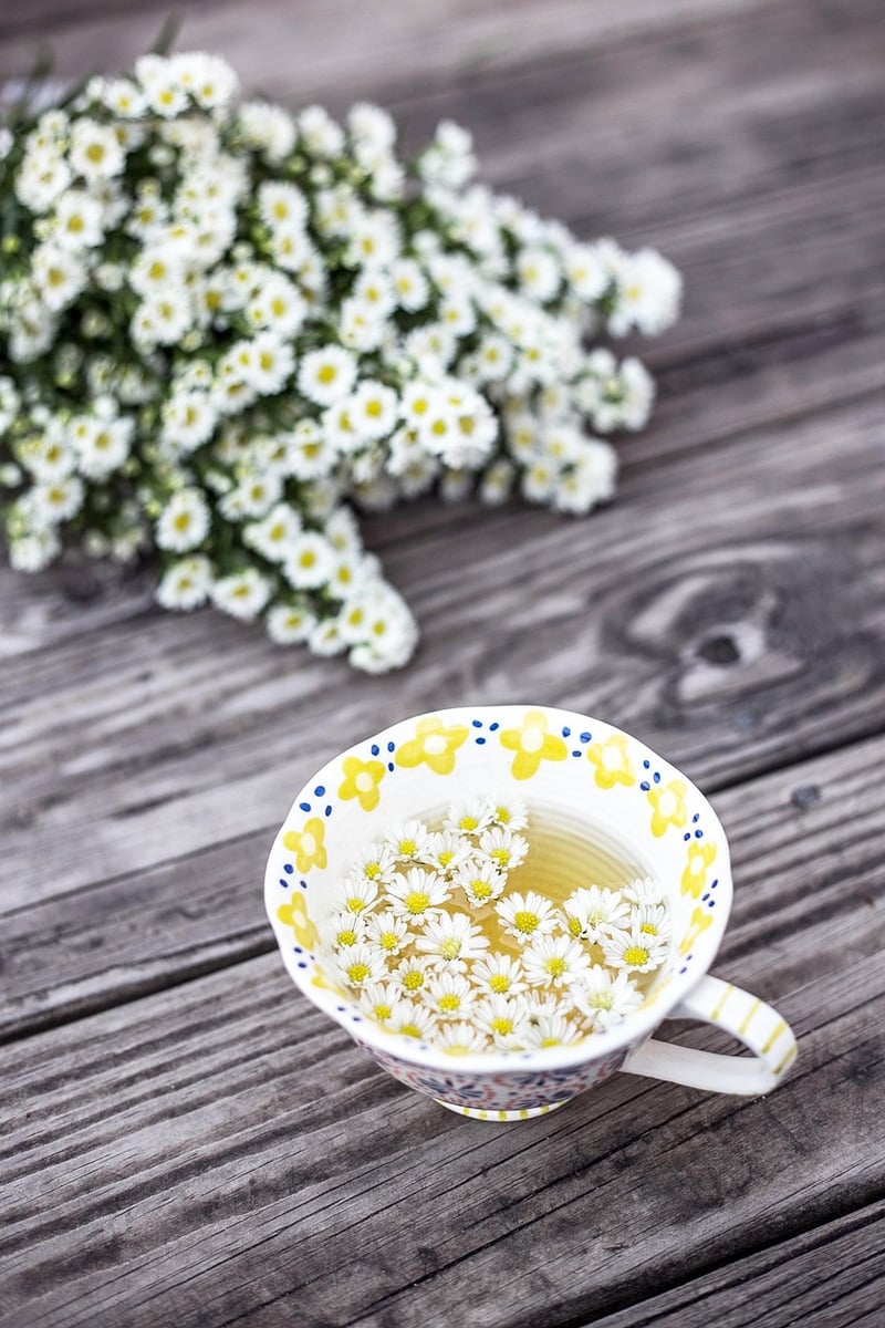 Chamomile Flower
